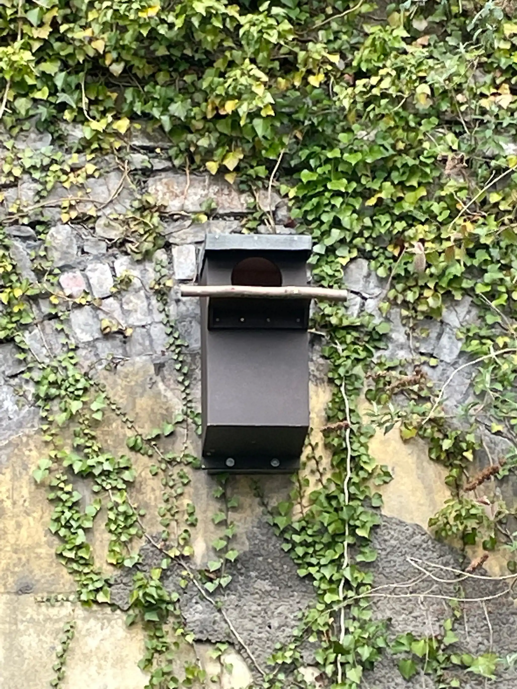 Microsoftteams Image (12)