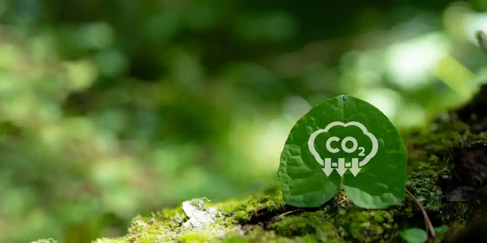 CO2 Down