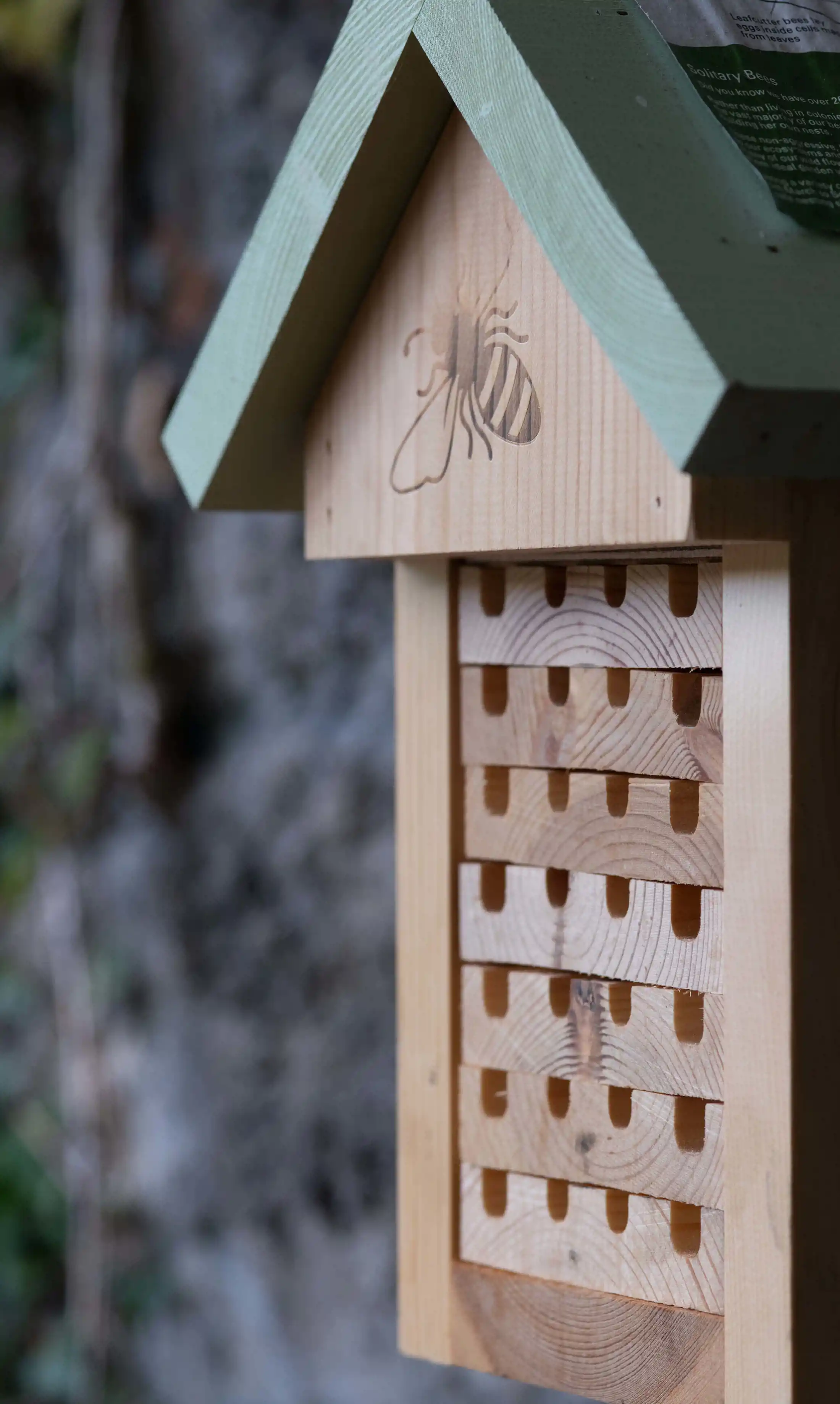 CC Sustainability ANH2692